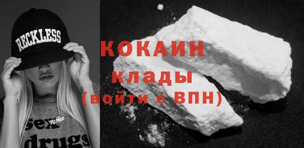молекула духа Осташков