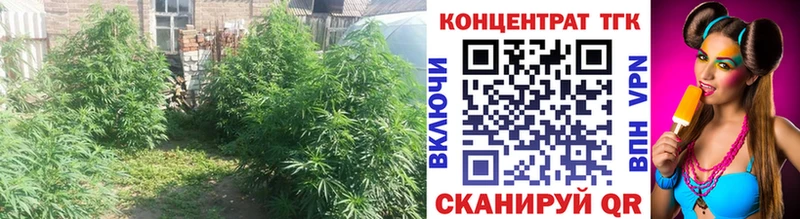 Дистиллят ТГК THC oil  Полесск 