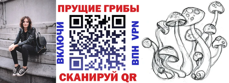 Псилоцибиновые грибы Magic Shrooms  мега ONION  Полесск 